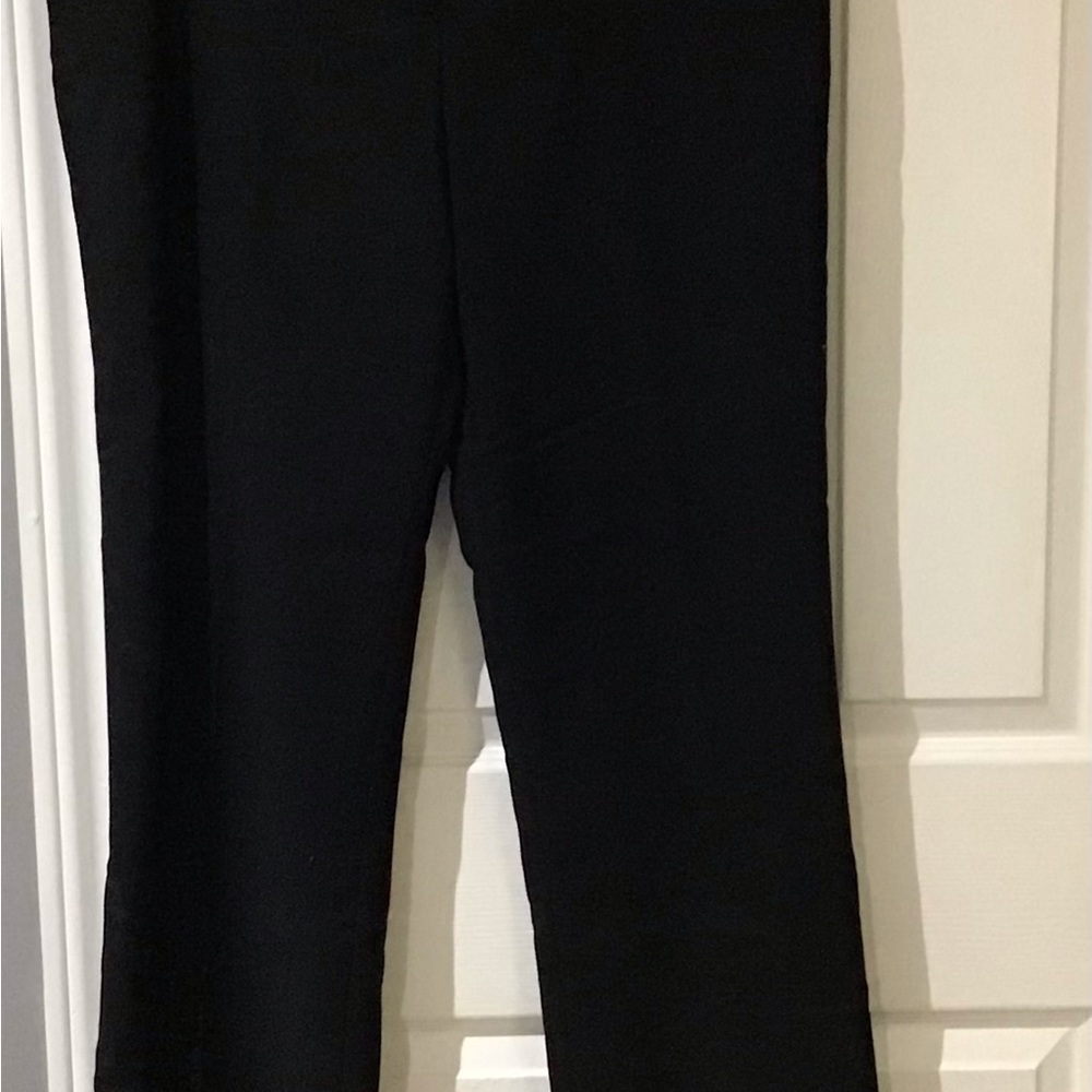 Karl Lagerfeld pants